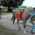 Wyścigi konne 2016