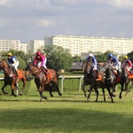 Wyścigi konne 2016