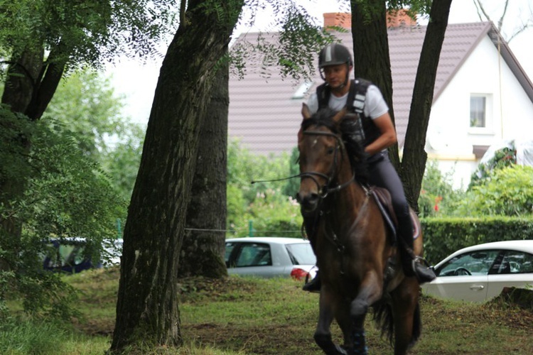 Zawody jeździeckie w Walewicach