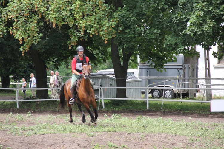 Zawody jeździeckie w Walewicach