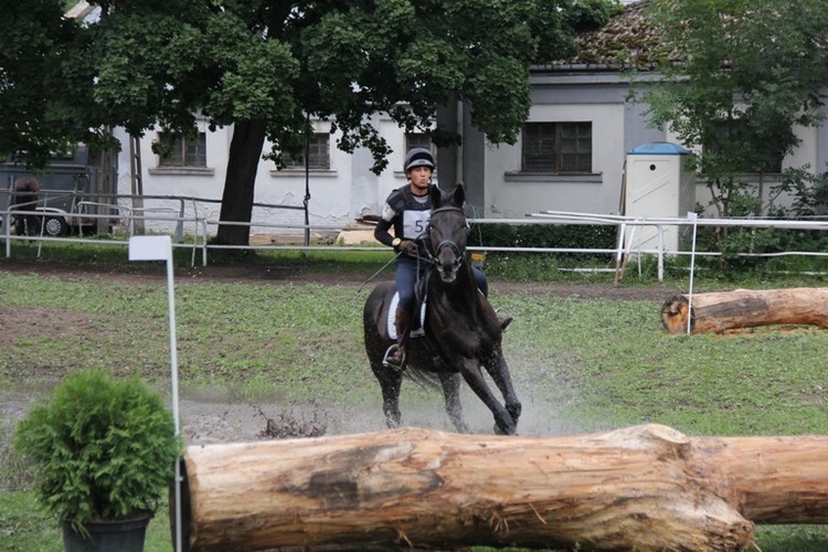 Zawody jeździeckie w Walewicach