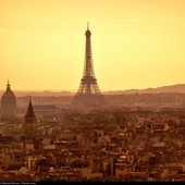 Francja: Zatrzymano domniemanego dżihadystę