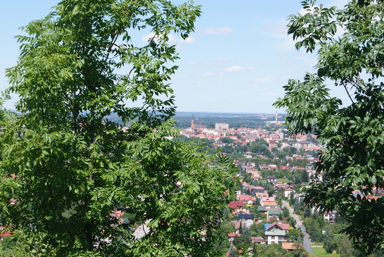 Tarnów. Góra św. Marcina