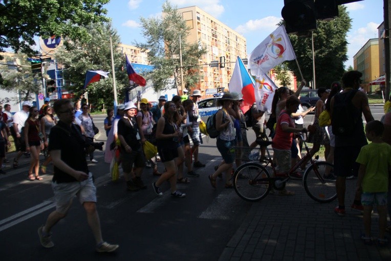 Drzewko ŚDM posadzone w Kędzierzynie