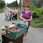 Dzień drugi: Trzebnica - Jaksonowice