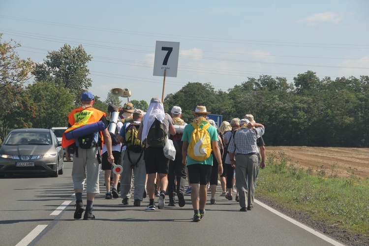 71. Pielgrzymka Rybnicka - dzień drugi (Czekanów - Górniki; grupy 5 i 7).