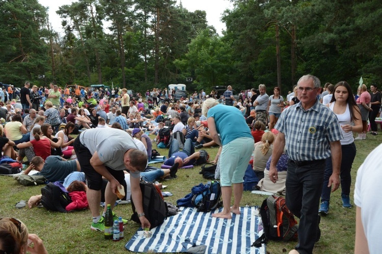 W drodze do Kamienia Śląskiego