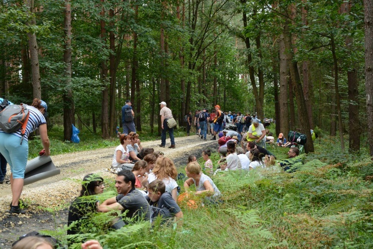 W drodze do Kamienia Śląskiego