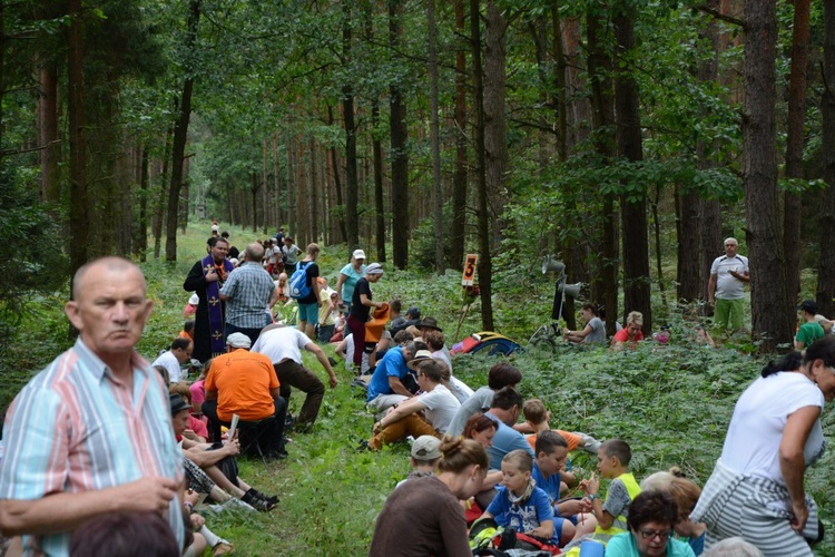 W drodze do Kamienia Śląskiego