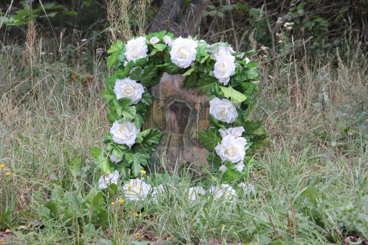 Pielgrzymka do Matki Bożej Suserskiej