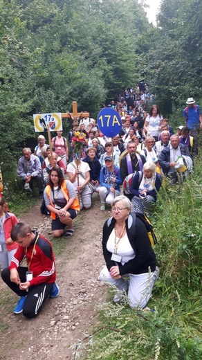 Radomska Pielgrzymka na Jasną Górę