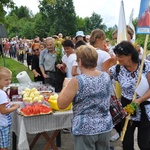 Do Matki Bożej w Jarosławicach