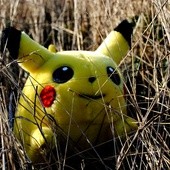 Pierwsza śmiertelna ofiara polowania na Pokemony