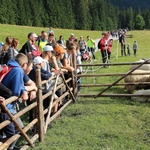 Wakacje w widokiem na Giewont