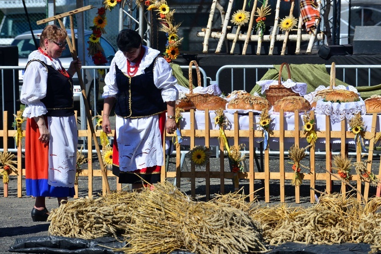 Dożynki w Udaninie