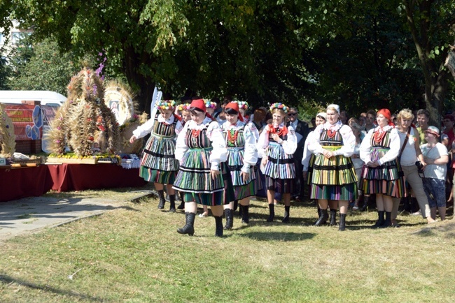 Dożynki 2016 w Opocznie