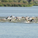 Triathlon Kraśnik