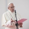 Franciszek o grzechach przeciw stworzeniu