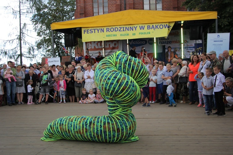 XIV Festyn Rodzinny w Bąkowie Górnym