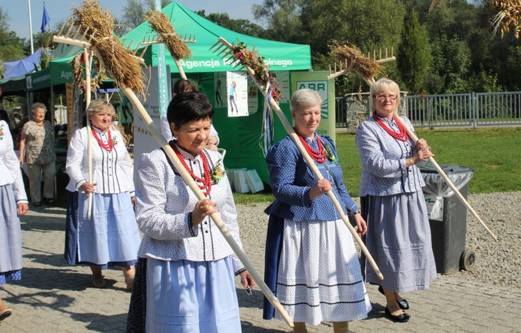 Dożynki w Żywcu AD 2016