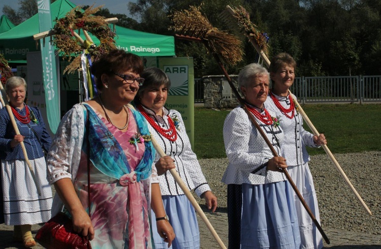 Dożynki w Żywcu AD 2016