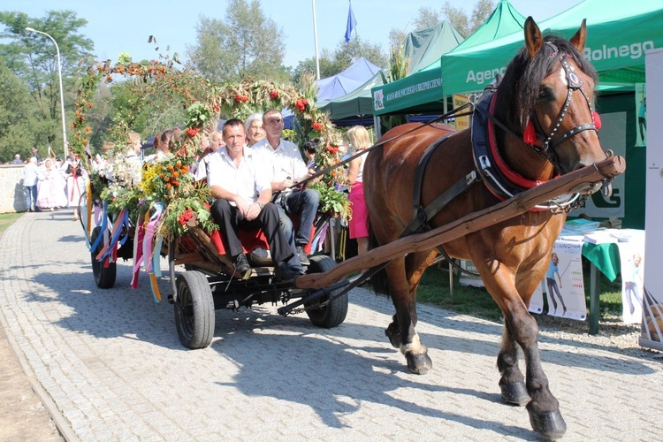 Dożynki w Żywcu AD 2016