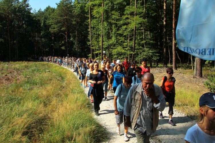 Pielgrzymka Ziemi Świebodzińskiej do Rokitna