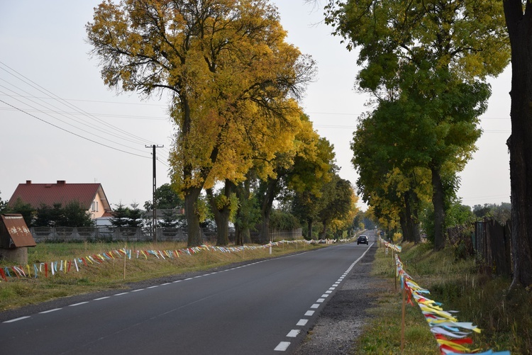 Powitanie ikony MB Częstochowskiej w Rzeczycy