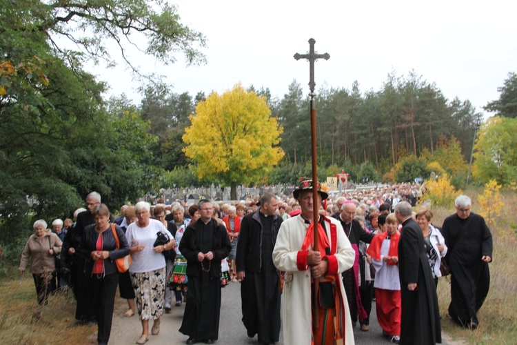 XII Pielgrzymka Kół Żywego Różańca do Domaniewic