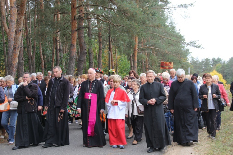 XII Pielgrzymka Kół Żywego Różańca do Domaniewic