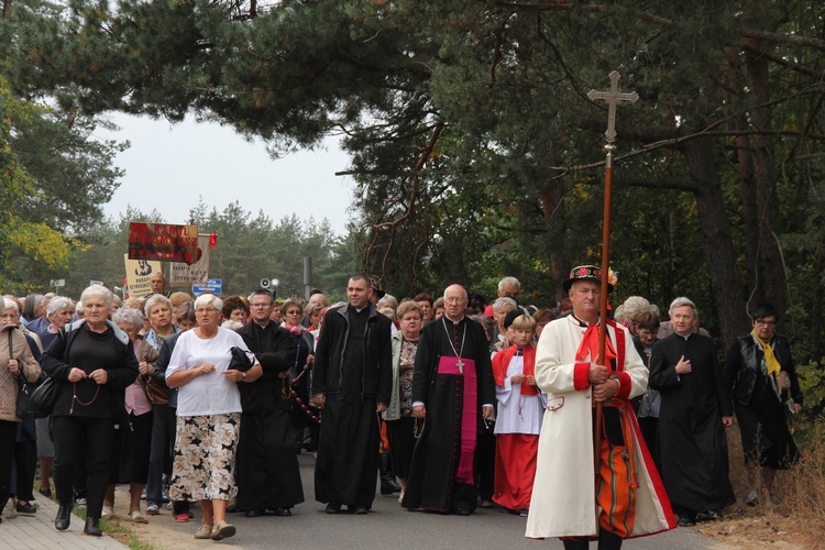 XII Pielgrzymka Kół Żywego Różańca do Domaniewic