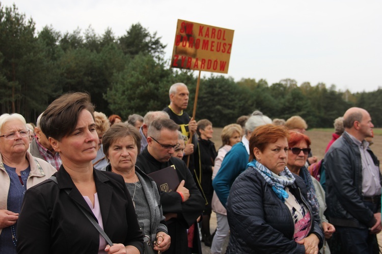 XII Pielgrzymka Kół Żywego Różańca do Domaniewic