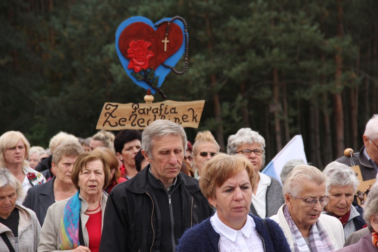 XII Pielgrzymka Kół Żywego Różańca do Domaniewic