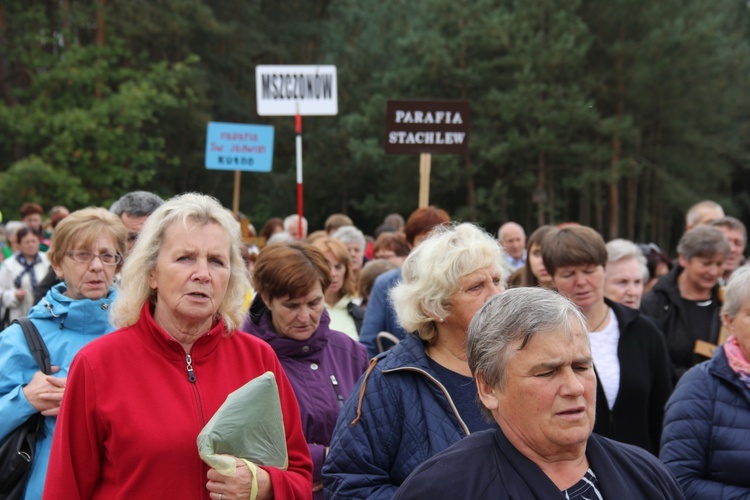 XII Pielgrzymka Kół Żywego Różańca do Domaniewic