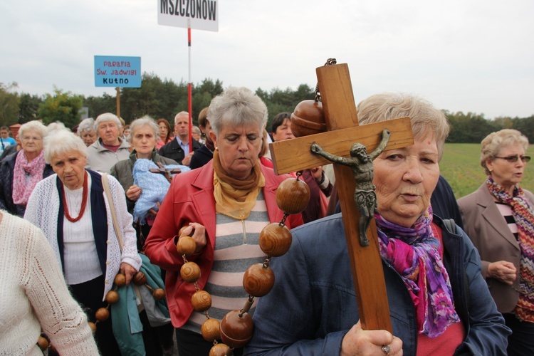 XII Pielgrzymka Kół Żywego Różańca do Domaniewic