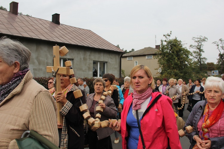 XII Pielgrzymka Kół Żywego Różańca do Domaniewic