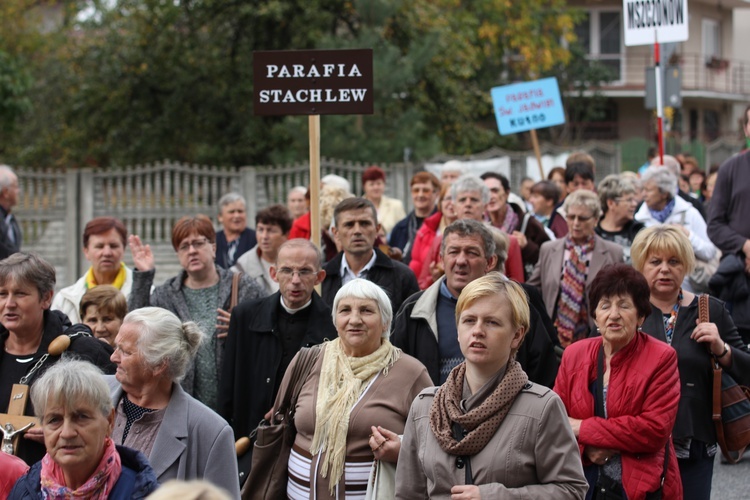 XII Pielgrzymka Kół Żywego Różańca do Domaniewic