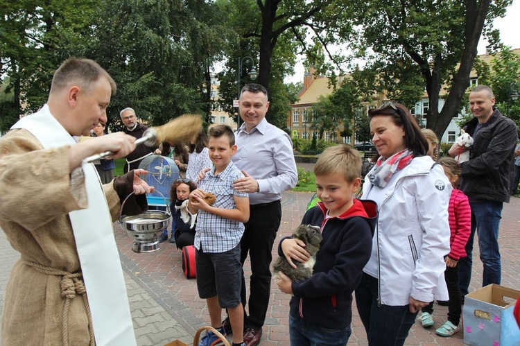 Błogosławieństwo zwierząt