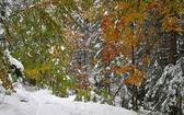 Październikowy zimowy krajobraz