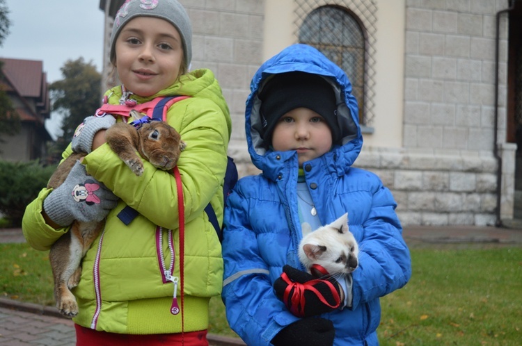 Czworonożne pupile przed kościołem 