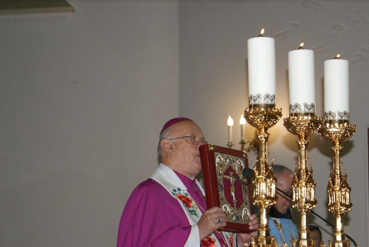 Powitanie ikony MB Częstochowskiej w Budziszewicach