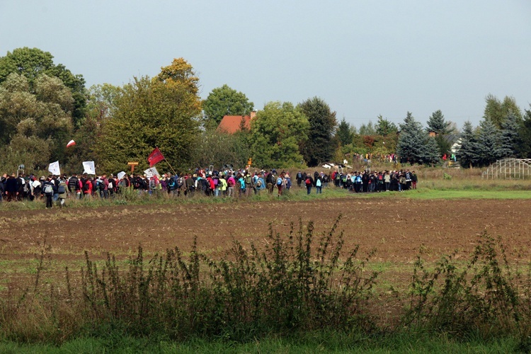 Pielgrzymka trzebnicka nr 10