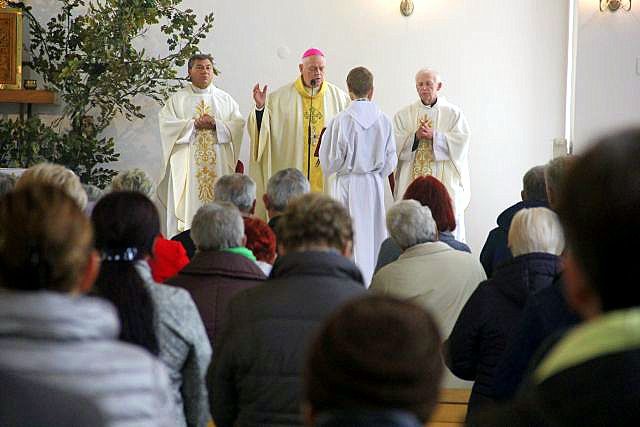 15. Sesja Papieska Akcji Katolickiej