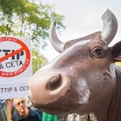 Przeciwko umowie CETA protestują nie tylko Polacy. Nie chcą jej  także Belgowie.