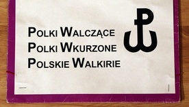 Polska Walcząca i Polska… wkurzona