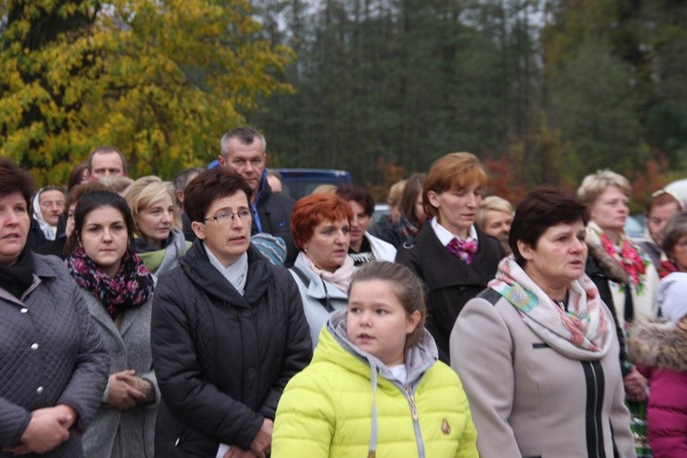 Powitanie ikony MB Częstochowskiej w Janisławicach