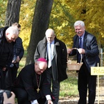 Inauguracja akcji Pola Nadziei 2016 w Bielsku-Białej