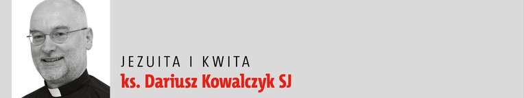 Czy warto było jechać  do Szwecji?