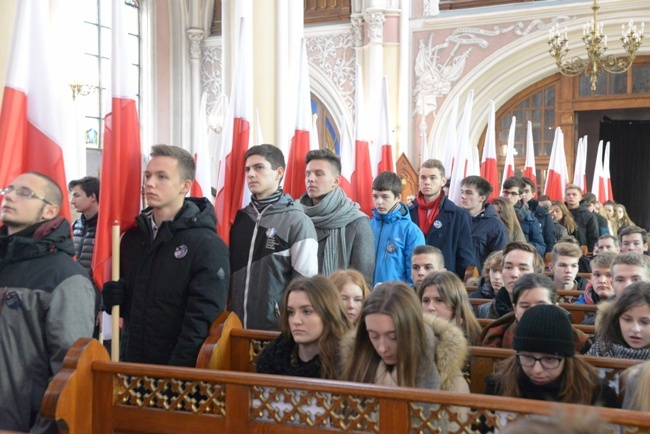 Poświęcenie Sztandaru Hallerczyków