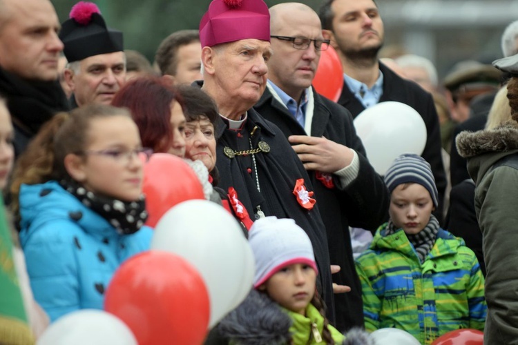 Marsz Niepodległości w Świdnicy